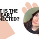 WHAT IS THE EYE HEART CONNECTED?