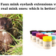 Faux mink eyelash extensions vs real mink ones: which is better?