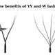 The benefits of YY and W lashes