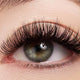 Complete Guide to Eyelash Extensions Styles