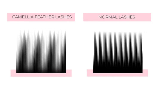 CAMELLIA LASHES VS. VOLUME LASHES