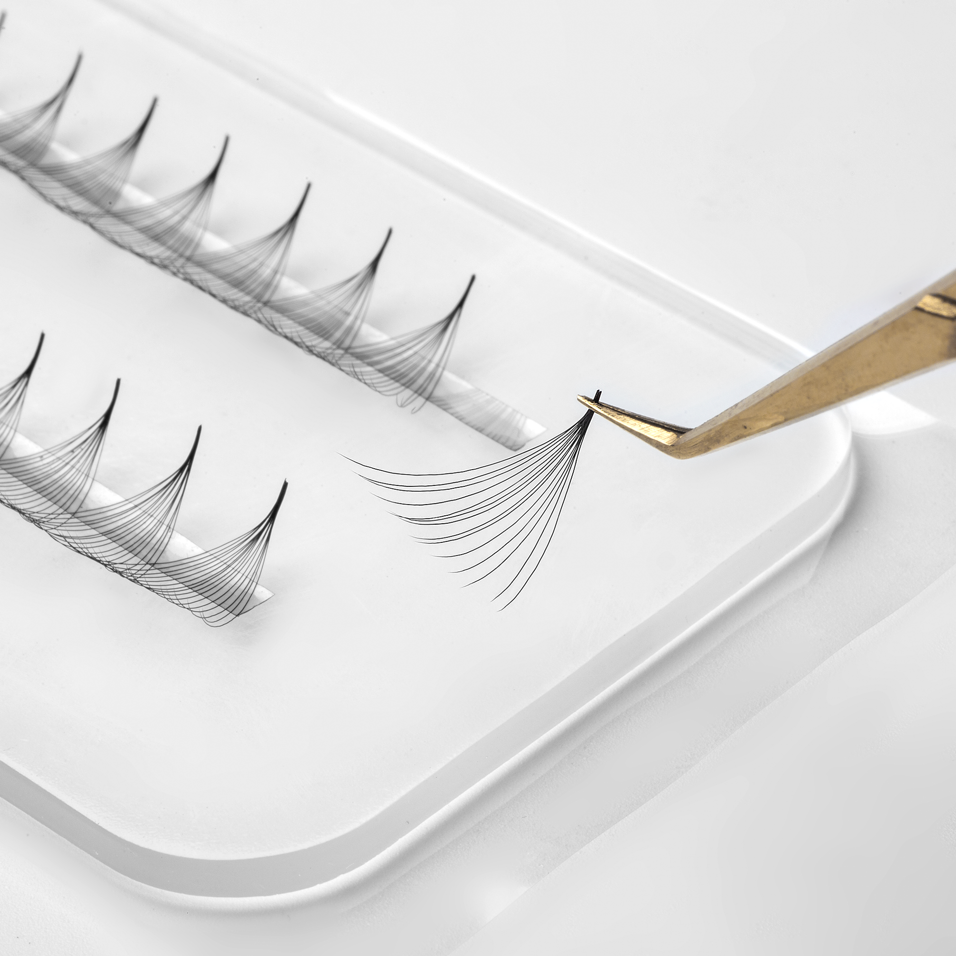 10D 0.05, 12D 0.03, 14D 0.03, 16D 0.03 Ultra-speed Promade fans GLAMOREYELASH 500 FANS Promade Natural Fans Eyelashes Extensions | Handmade Individual Lashes  of Mink Lashes - GlamorEyelash