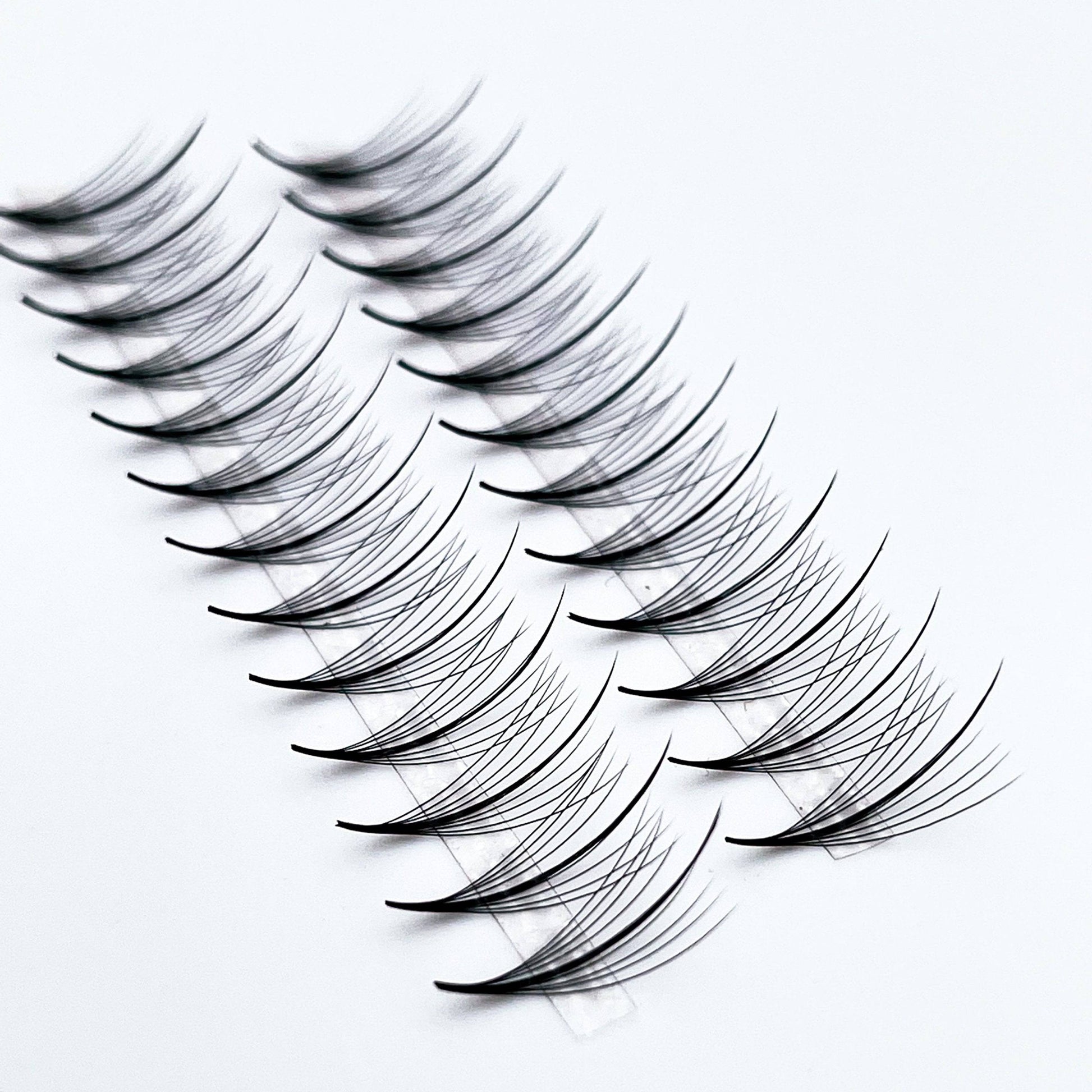 Wispy  9D GLAMOREYELASH 500 FANS Ultra Speed Promade Fans | Natural Wispy Eyelashes Extensions | Handmade Individual Lashes Extension with 0.05mm of Mink Lashes - GlamorEyelash