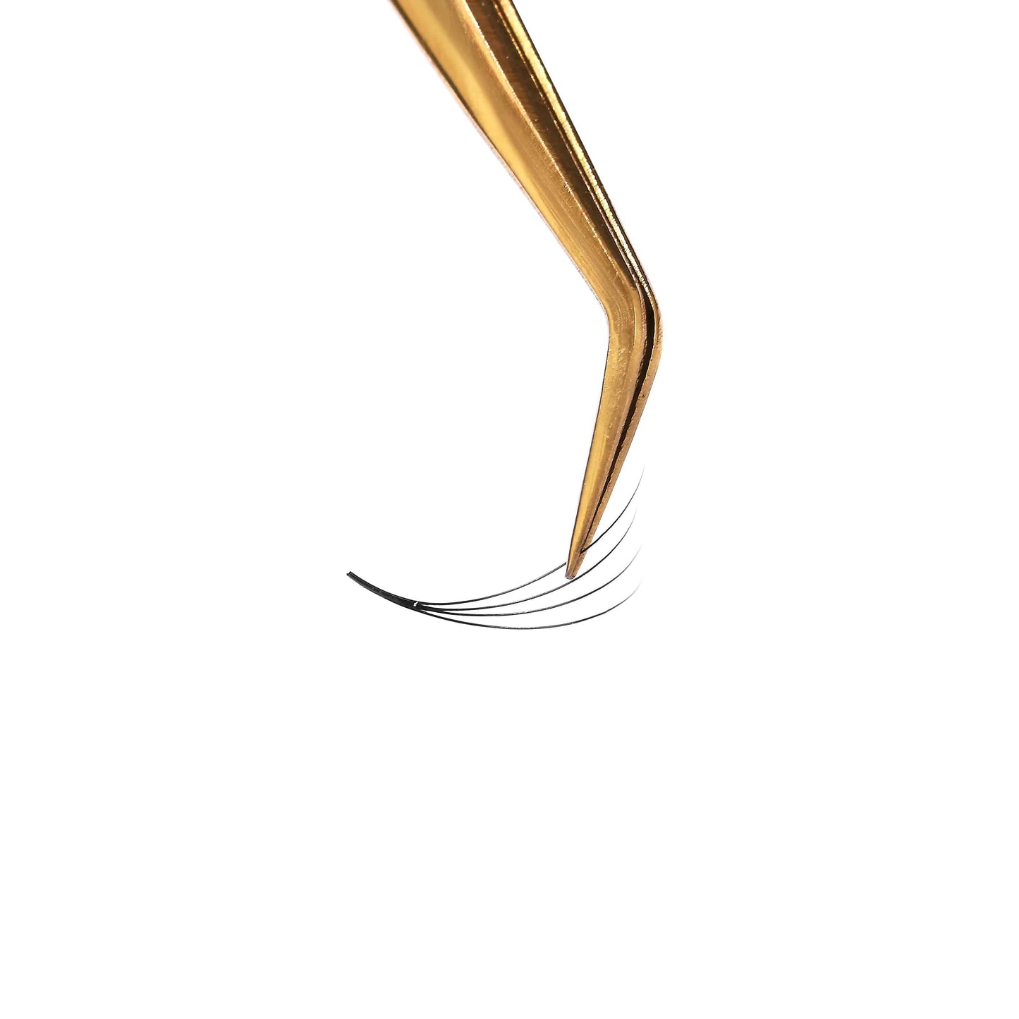 Promade fans loose 3D 0.07 | 500 fans - GlamorEyelash