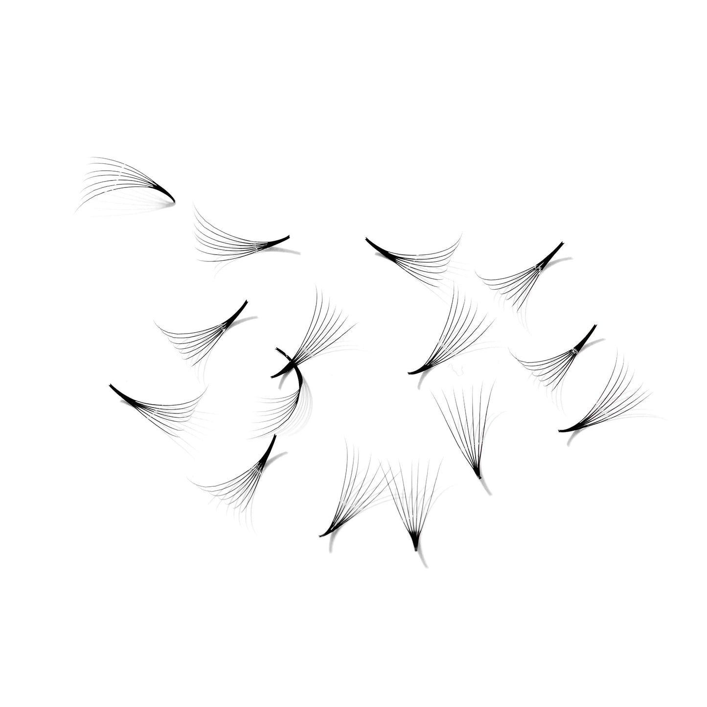 Promade fans loose 7D 0.05 | 500 fans - GlamorEyelash