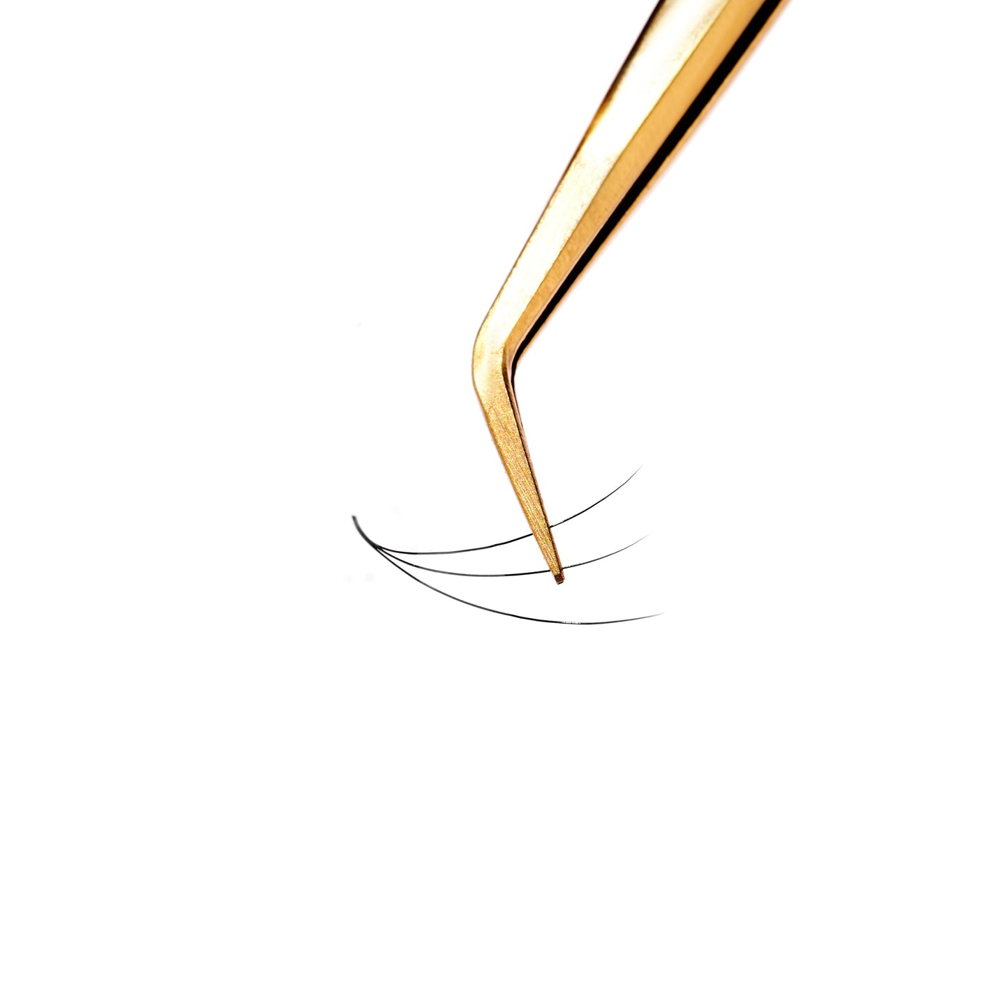 Single box Mix8 in1 | 3D 007, 4D 007, 5D 007, 6D 007  Promade Loose fans | 1000 fans - GlamorEyelash