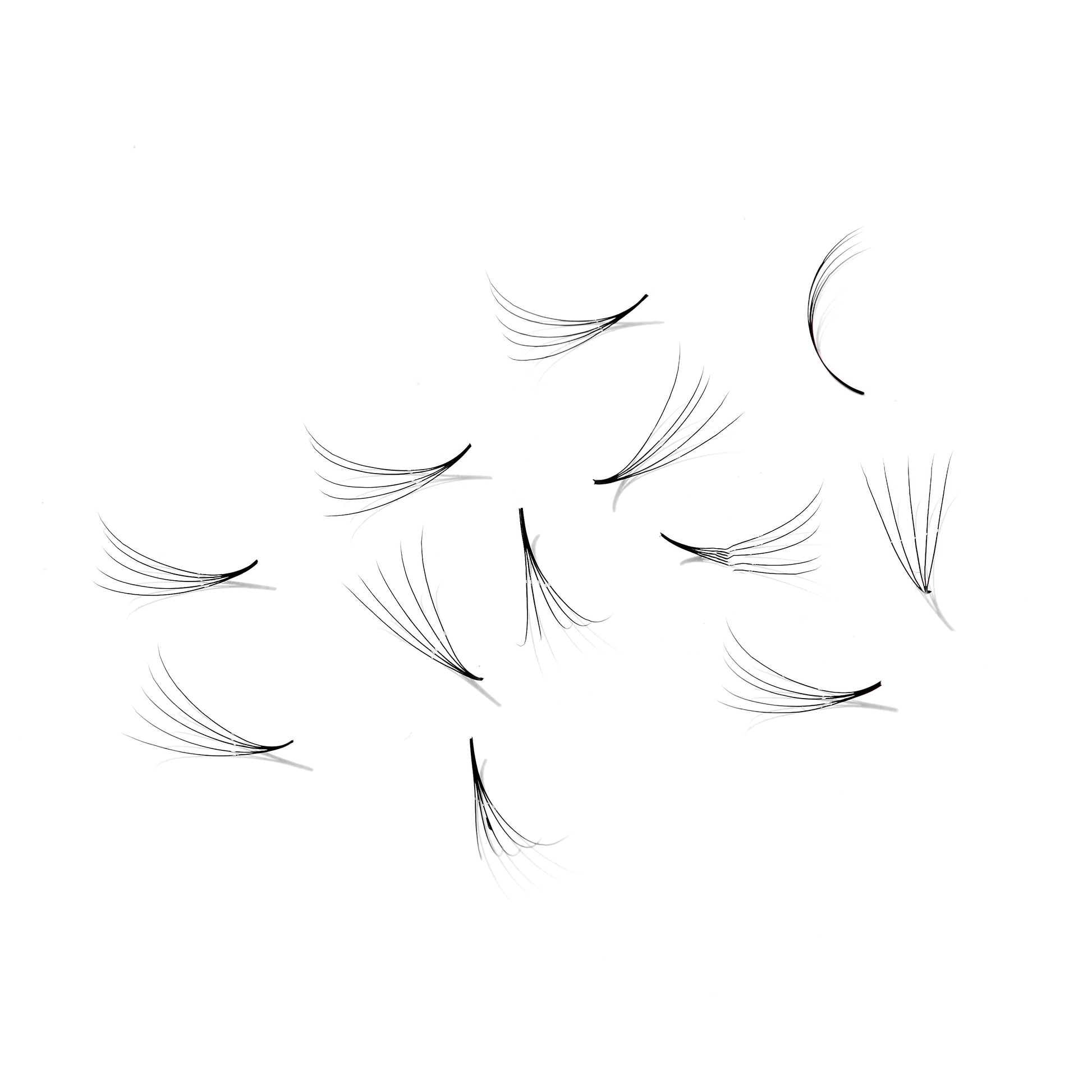 Single box Mix 5in1 | 3D 007, 4D 007, 5D 007, 6D 007 - Promade Loose fans | 500 fans - GlamorEyelash