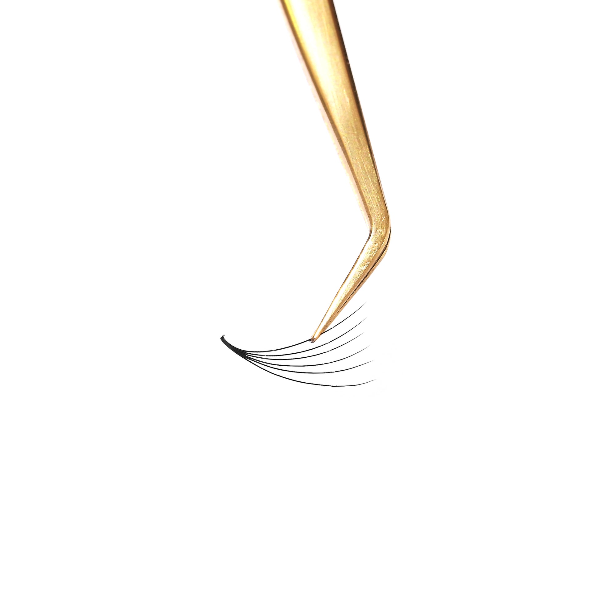 Single box Mix8 in1 | 3D 007, 4D 007, 5D 007, 6D 007  Promade Loose fans | 1000 fans - GlamorEyelash