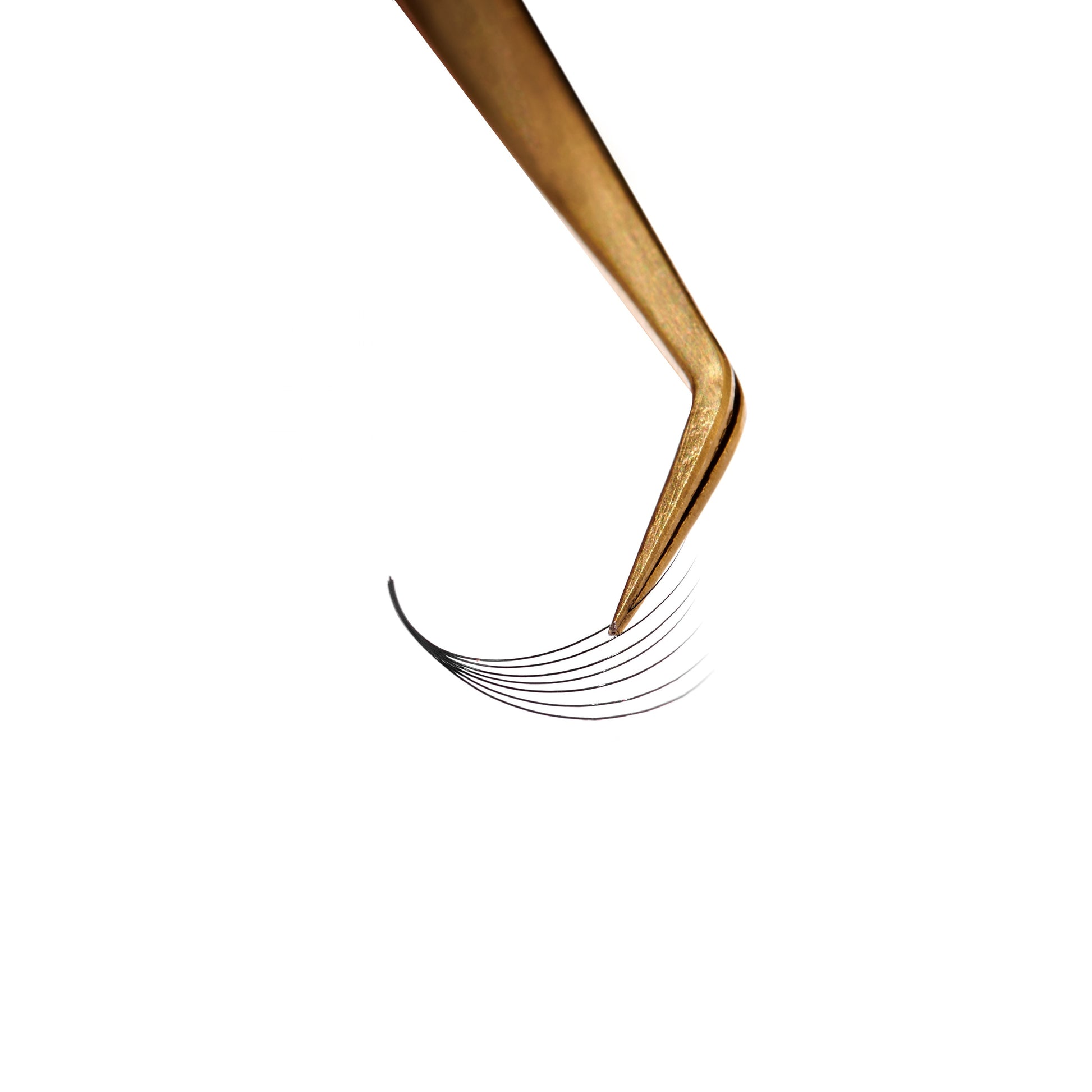 Single box Mix5 in1 | 7D 005, 8D 005, 10D 005 Promade Loose fans | 500 fans - GlamorEyelash