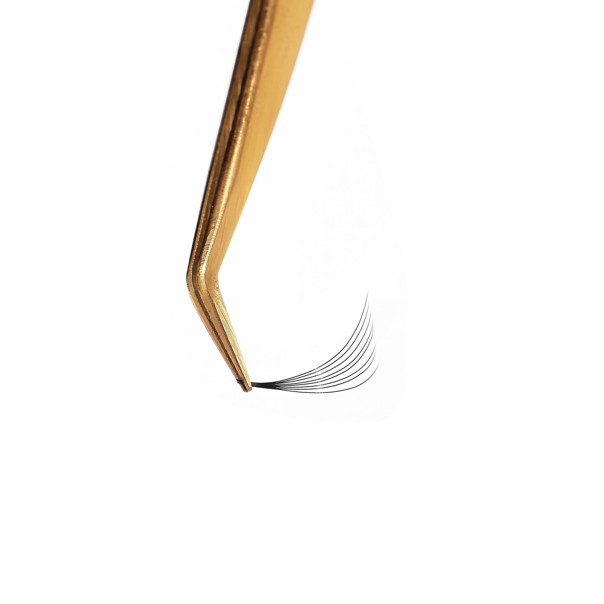 Single box Mix5 in1 | 7D 005, 8D 005, 10D 005 Promade Loose fans | 500 fans - GlamorEyelash