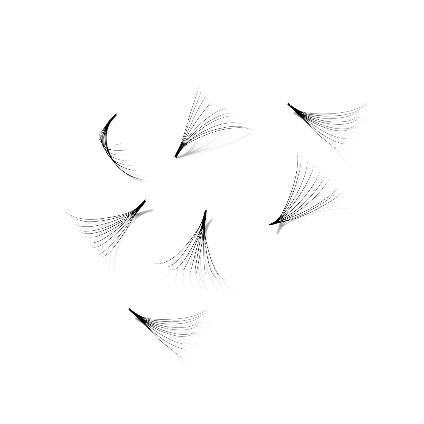 Single box Mix5 in1 | 7D 005, 8D 005, 10D 005 Promade Loose fans | 500 fans - GlamorEyelash