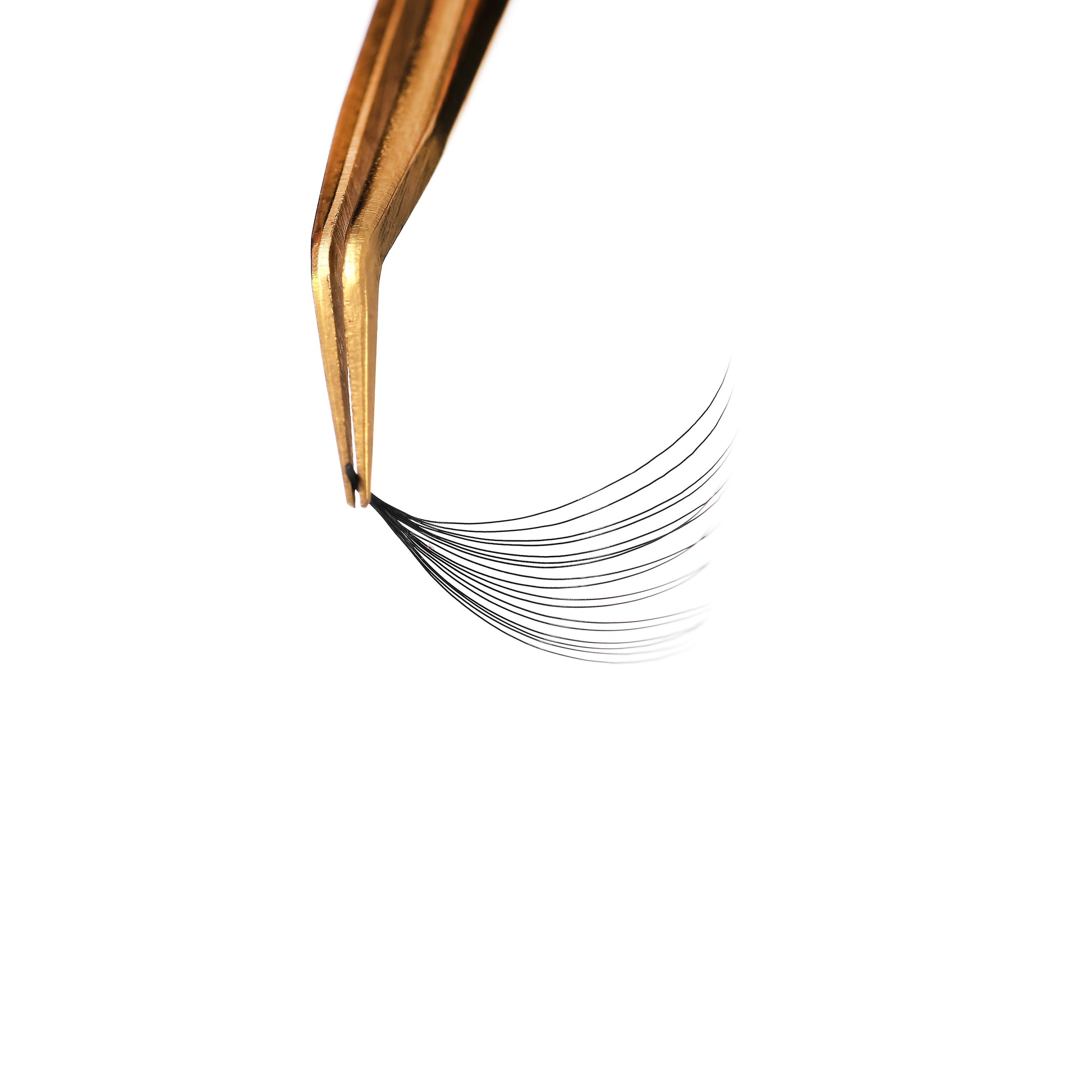 Single box Mix8 in1 | 12D 003, 14D 003, 16D 003 Promade Loose fans | 1000 fans - GlamorEyelash