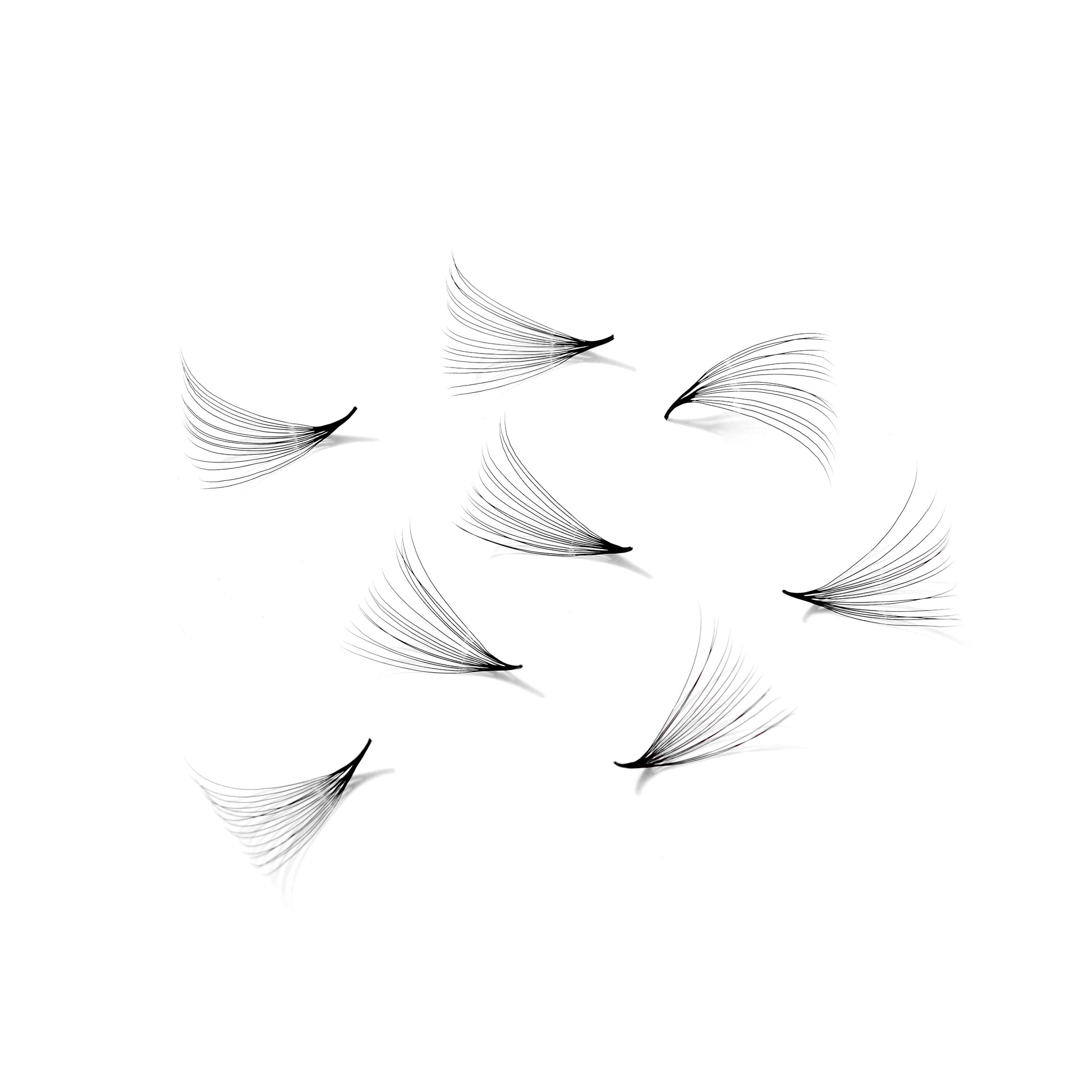 Single box Mix5 in1 | 12D 003, 14D 003, 16D 003 Promade Loose fans | 500 fans - GlamorEyelash