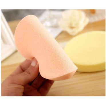 Fan Sponge (2pcs)