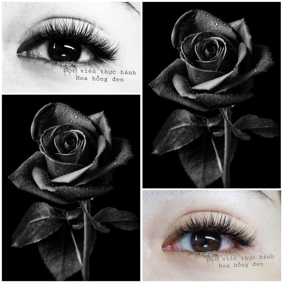 How to make black rose eyelash extensions