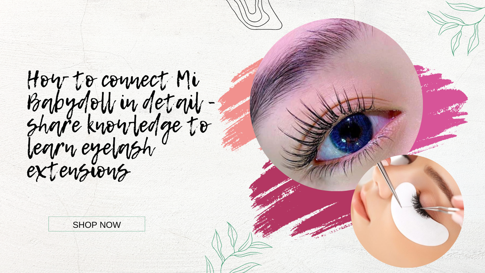 How to connect Mi Babydoll in detail - share knowledge to learn eyelash extensions