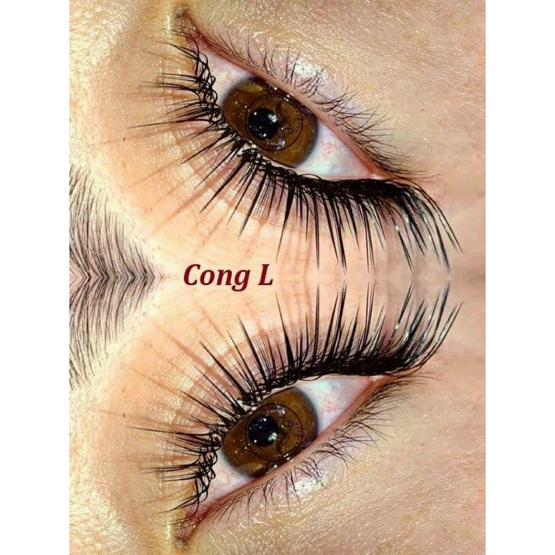 Eyes with eyelids