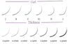 How to Choose the Right Curl for Every Eye Shape: A Complete Guide for Lash Artists