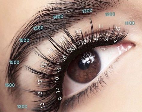 How to connect Volume eyelashes for beginners