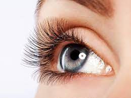 What is 4D eyelash extension?