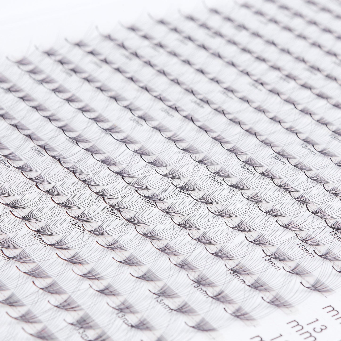 XL Promade Trays | Single 16D 0.03 - GlamorEyelash 