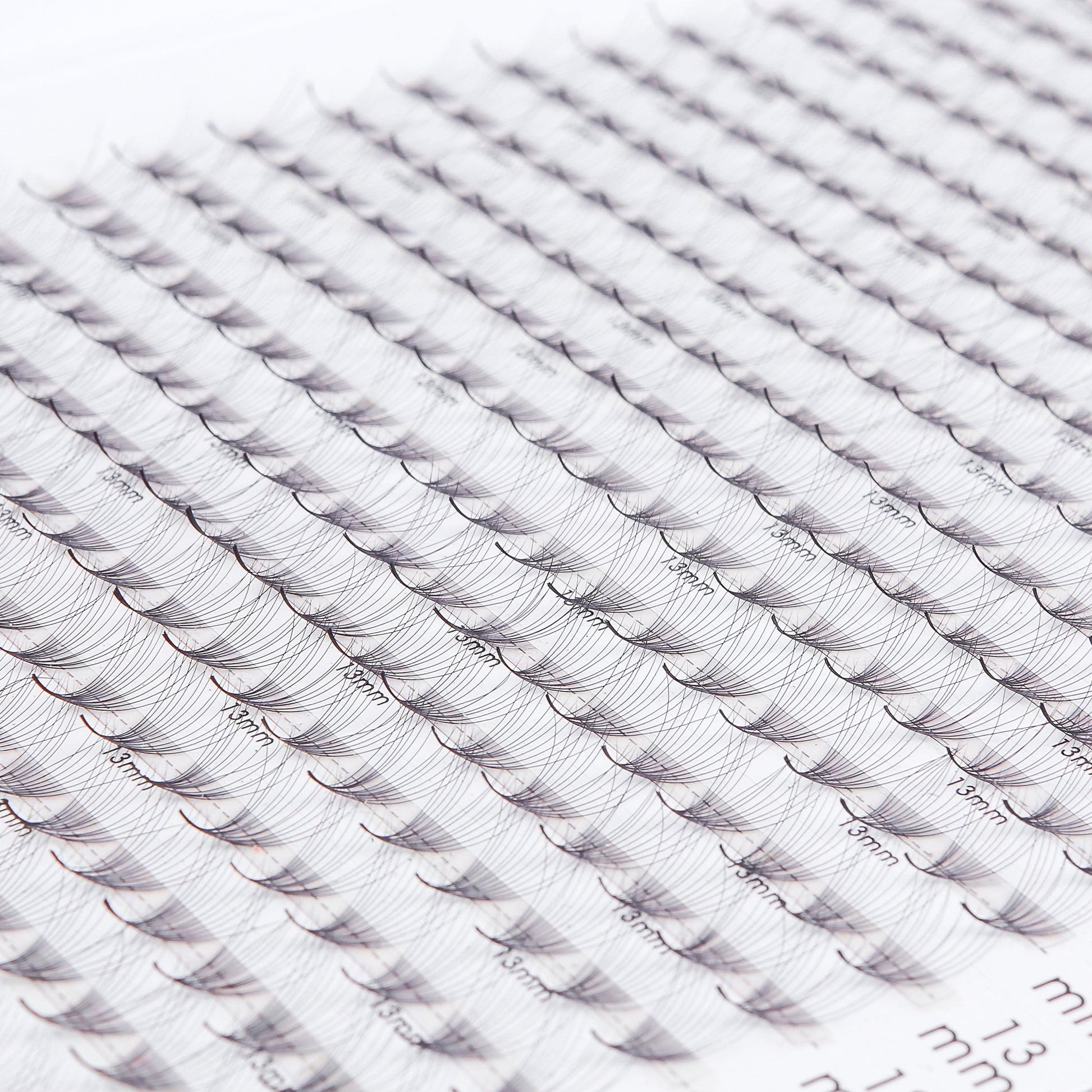 XL Promade Trays | Single 16D 0.03 - GlamorEyelash 