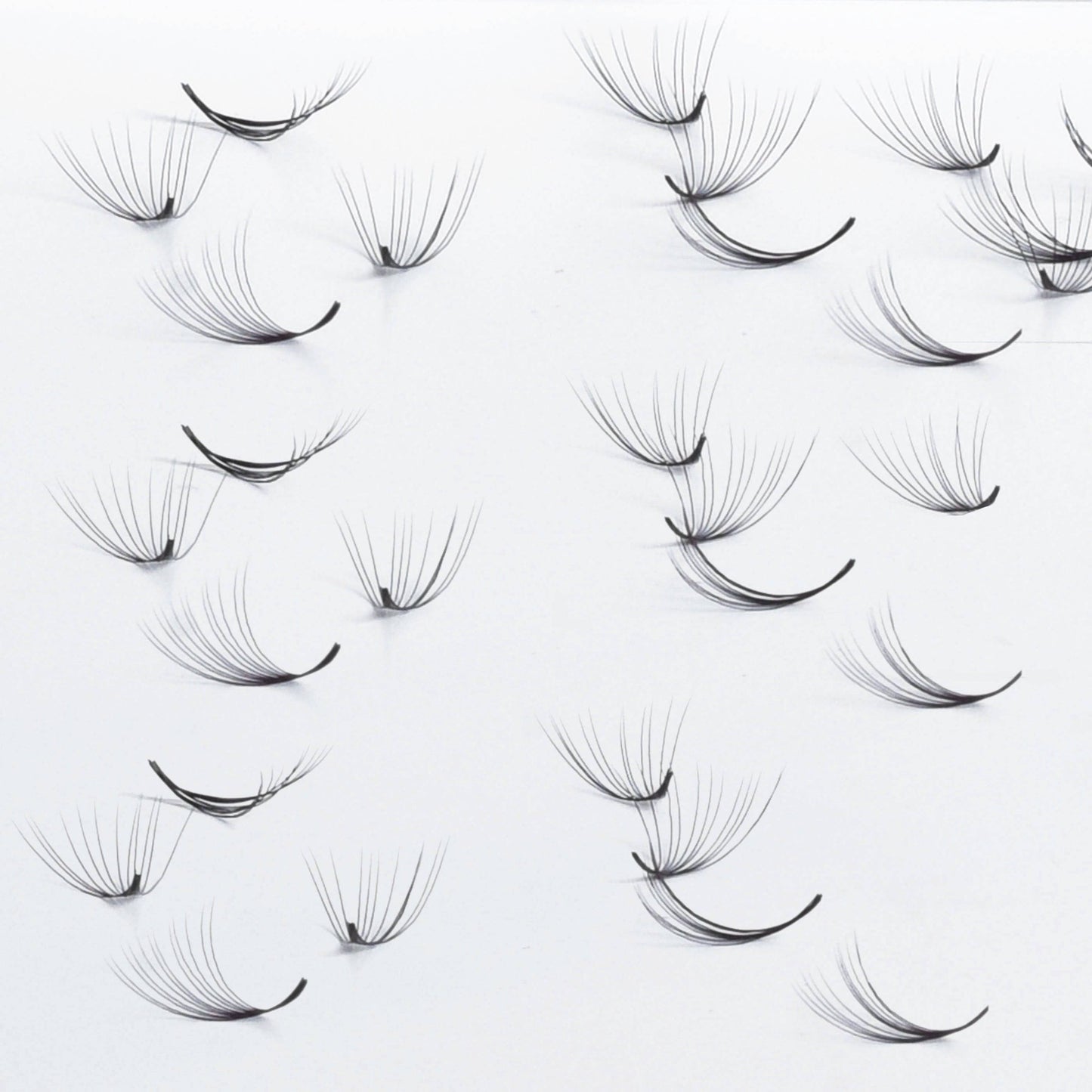 Promade fans wispy 7D | 0.06 - GlamorEyelash 