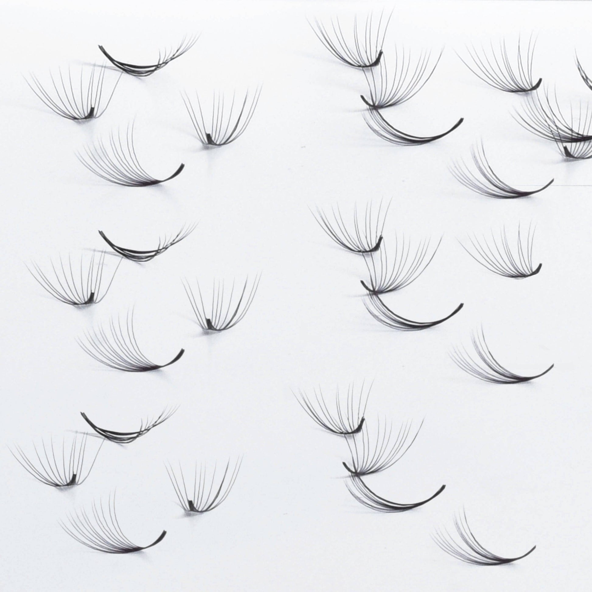 Promade fans wispy 7D | 0.06 - GlamorEyelash 