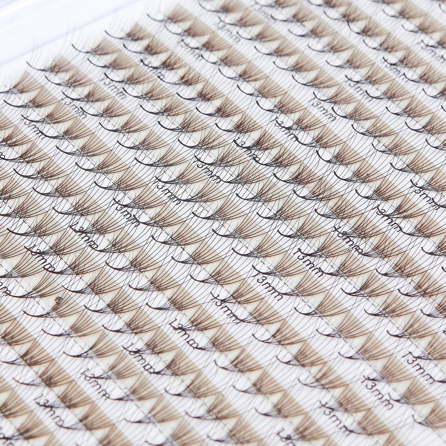 Mix Regular Fan 16D - GlamorEyelash 