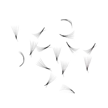 Promade fans loose 6D 0.07 | 500 fans - GlamorEyelash 