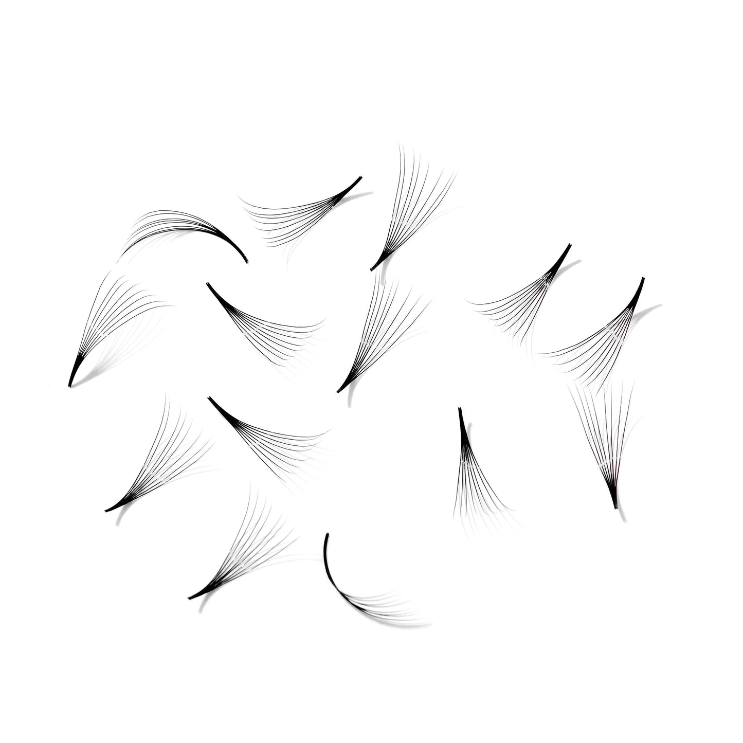 Promade fans loose 8D 0.05 | 500 fans - GlamorEyelash 