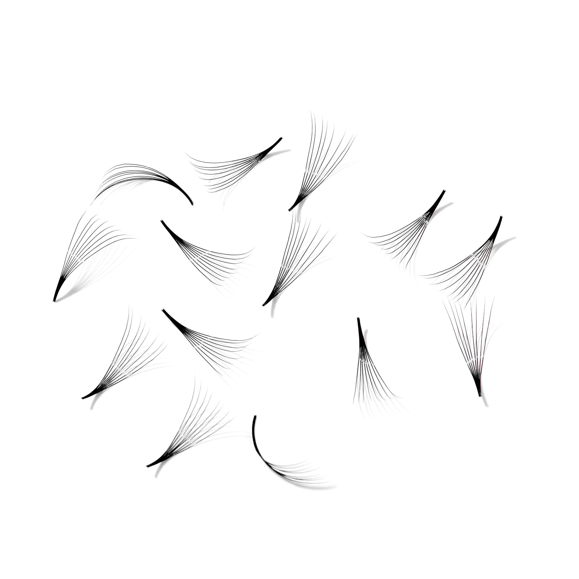 Promade fans loose 8D 0.05 | 500 fans - GlamorEyelash 