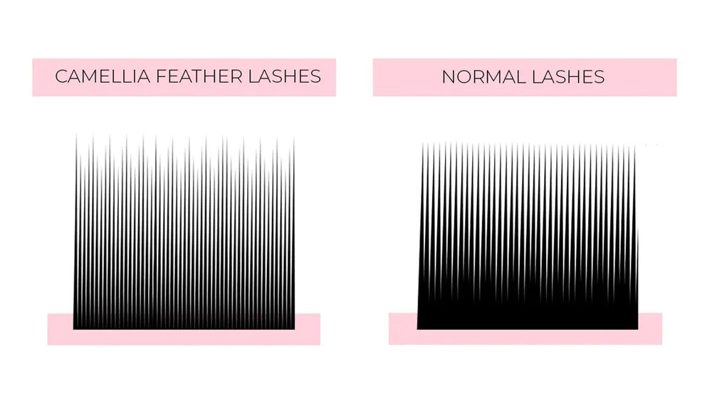 Glamor Lashes - J,C,CC,D,LD- 0.03, 0.05, 0.07