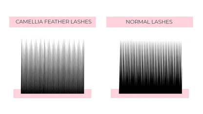 Glamor Lashes - J,C,CC,D,LD- 0.03, 0.05, 0.07